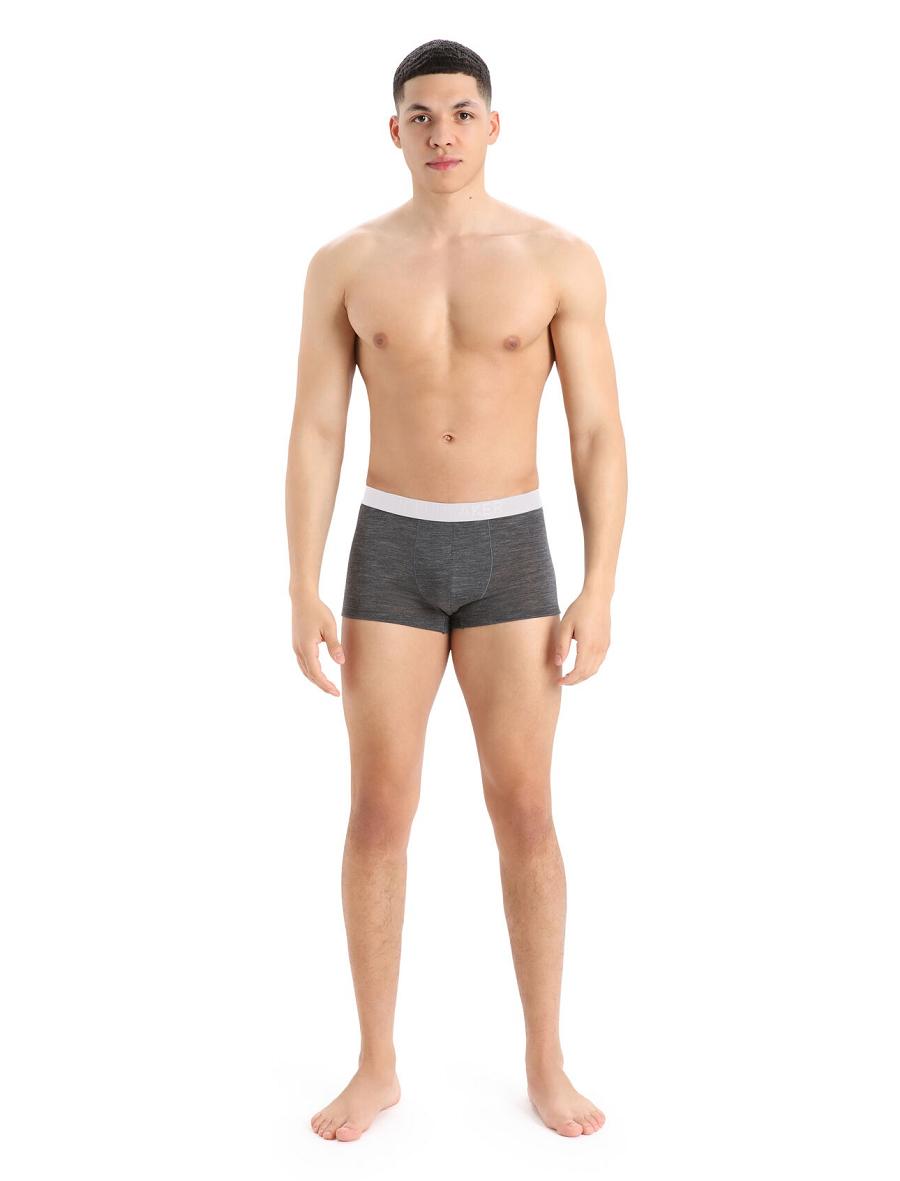 Icebreaker Cool-Lite™ Merino Anatomica Trunks Férfi Fehérnemű Taupe | HU 1288WNBY